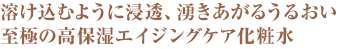 溶け込むように浸透、湧きあがるうるおい 至極の高保湿エイジングケア化粧水