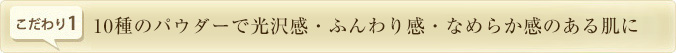 10種のパウダーで光沢感・ふんわり感・なめらか感のある肌に